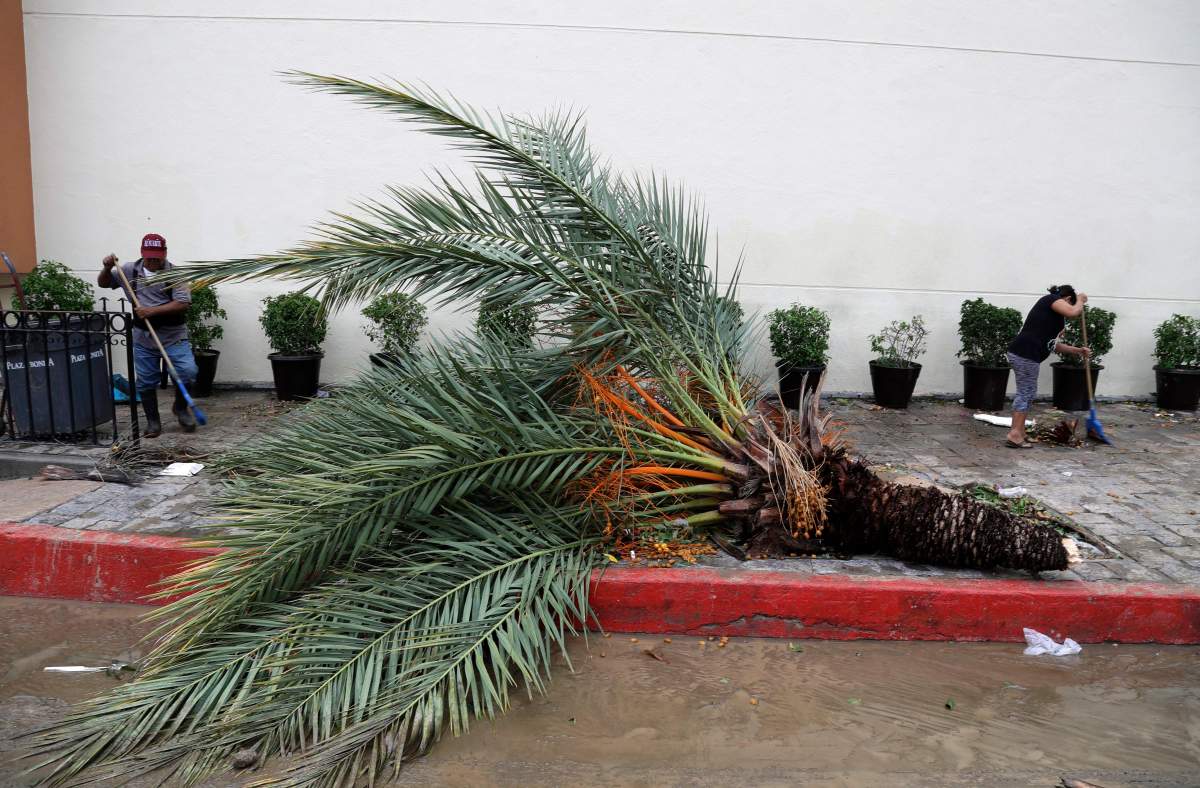 A couple of people work on sweeping the debris left by Hurricane Newton in Cabo San Lucas, Mexico, Tuesday Sept. 6, 2016. Hurricane Newton shattered windows, downed trees and knocked out power in parts of the twin resorts of Los Cabos on Tuesday, but residents were spared the kind of extensive damage seen two years ago when they were walloped by a monster storm. 