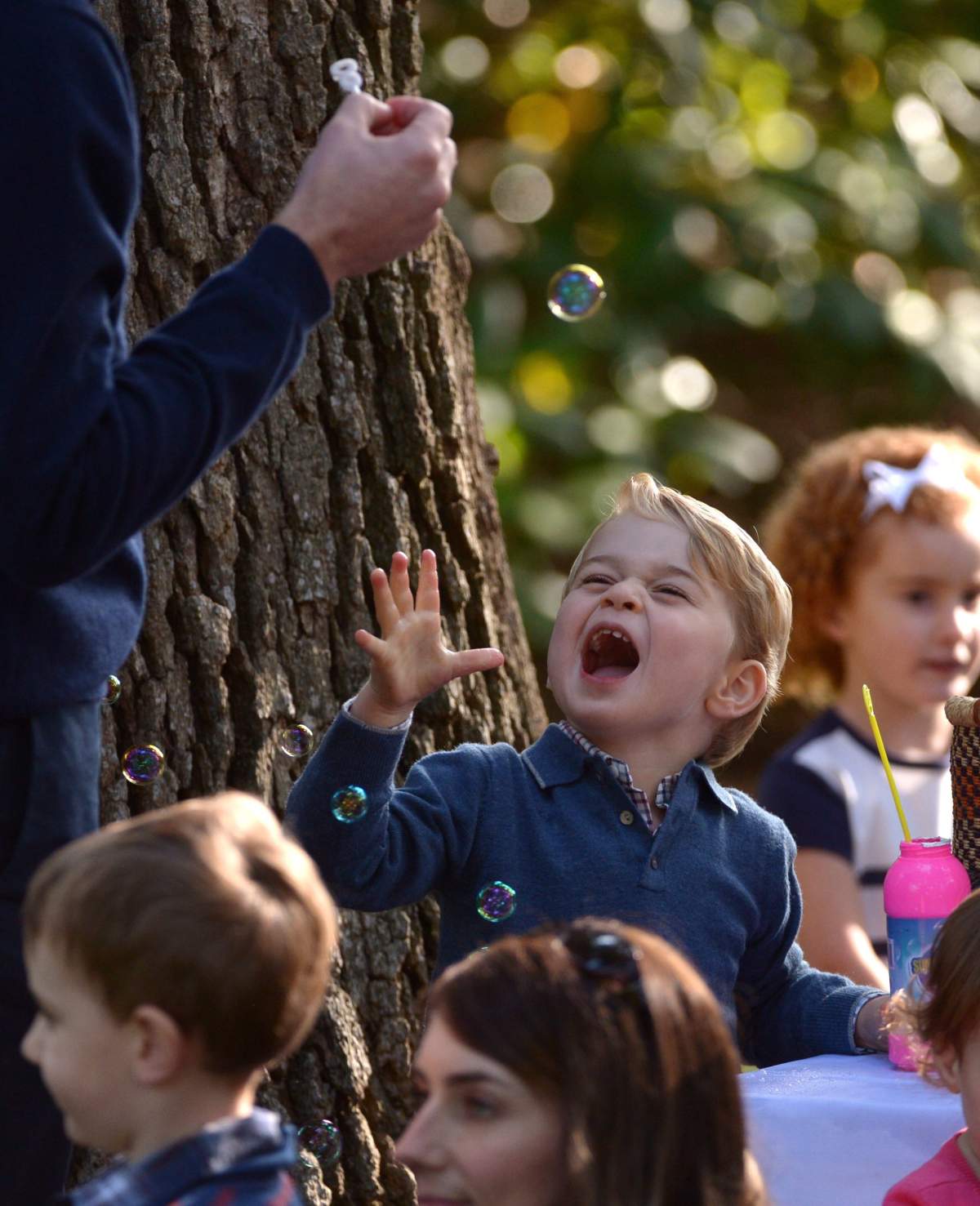 Royal Visit 2016: The BC woman behind Prince George’s bubbles - image