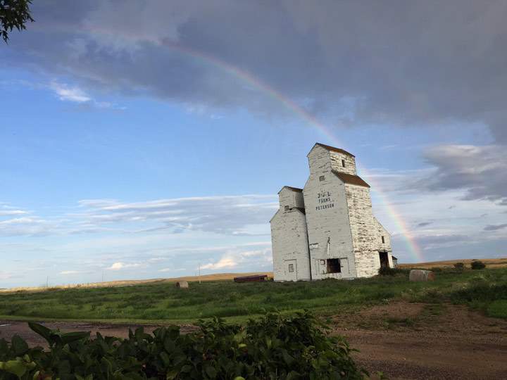 Sept. 8: Alesia Hafner took this Your Saskatchewan photo at Peterson.