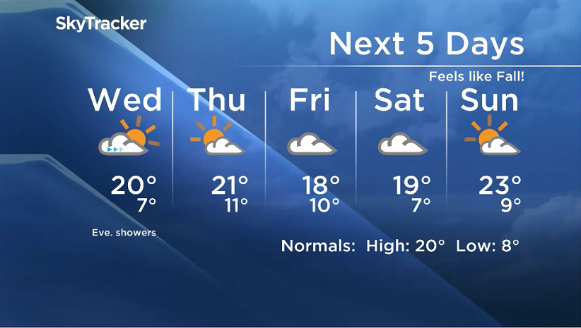 Feeling a lot like Fall this week in southern Manitoba - image