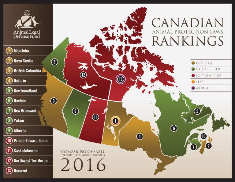 This chart shows Manitoba ranked as the highest province for animal protection laws in Canada.