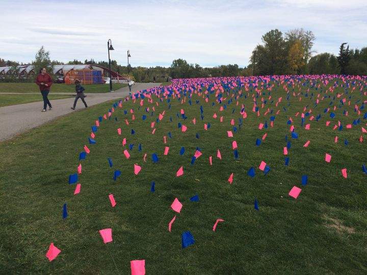 Anti abortion flags