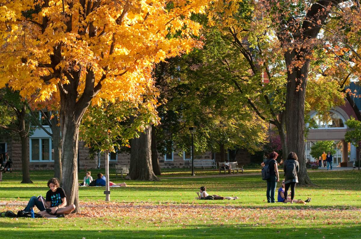 Things no one told you about attending college, university - image