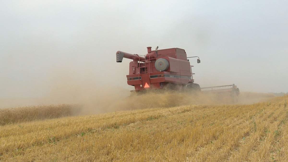 Saskatchewan Agriculture reports 70 per cent of the 2016 crop is combined, slightly behind the five-year average for this time of year.