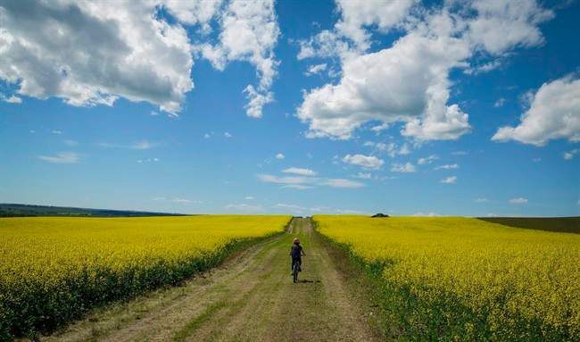 Whether you’re looking for an epic natural landscape, traveling through Europe in Saskatchewan prairies, tasting delicious Saskatoon berries or digging your toes into a purple-sand-beach, a report released by Expedia proves that Saskatchewan has it all.
