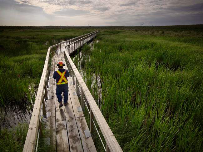 A worker walks on a catwalk over the Sandhills fen on the company's oilsands lease in this undated Syncrude handout image. 