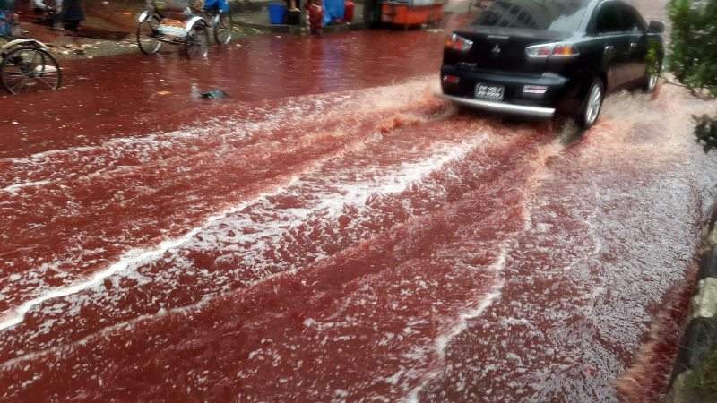 In this Tuesday, Sept. 13, 2016 photo, a car drives past a road turned red after blood from sacrificial animals mixed with water from heavy rainfall in Dhaka, Bangladesh.