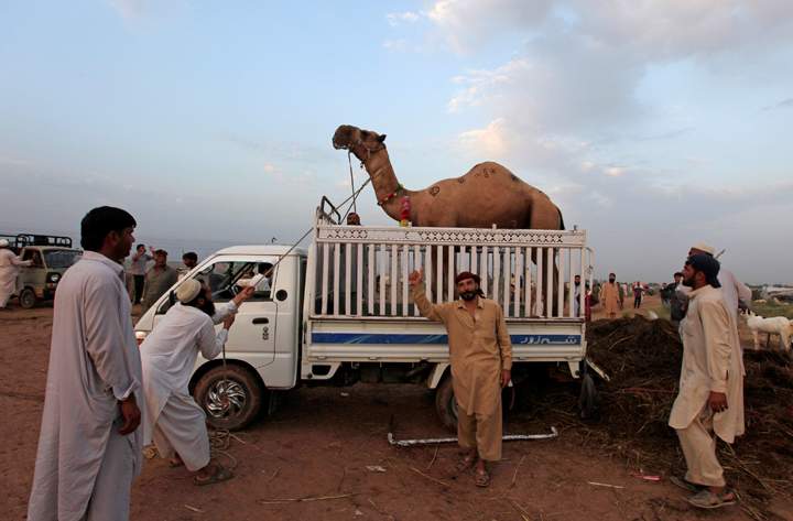 REUTERS/Faisal Mahmood