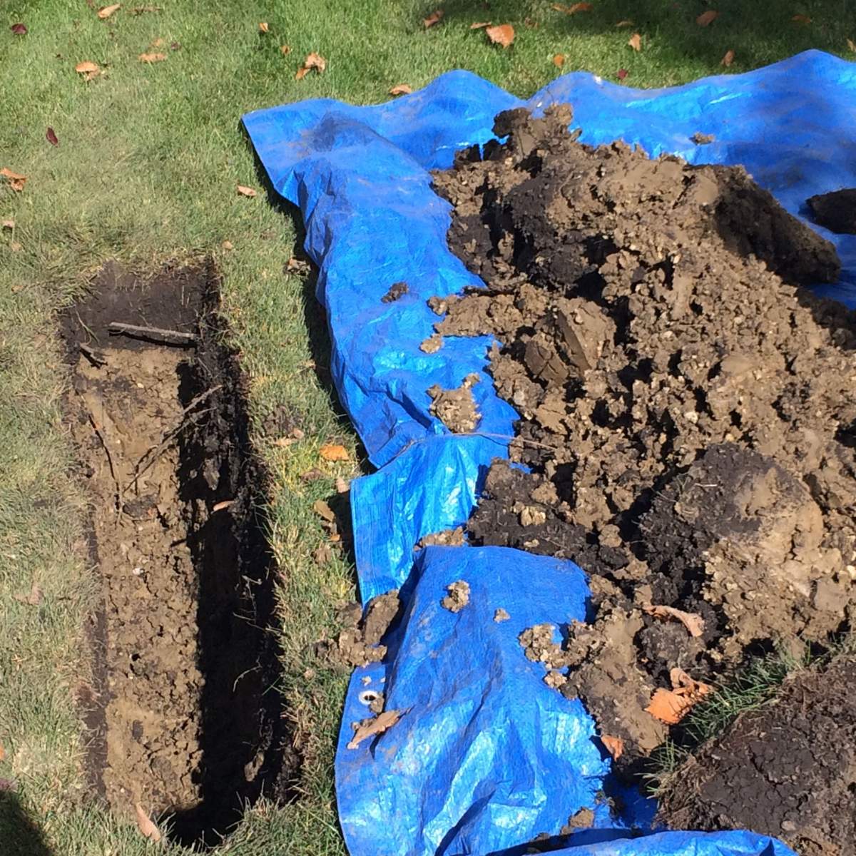 South Edmonton yard dug up for fibre installation.