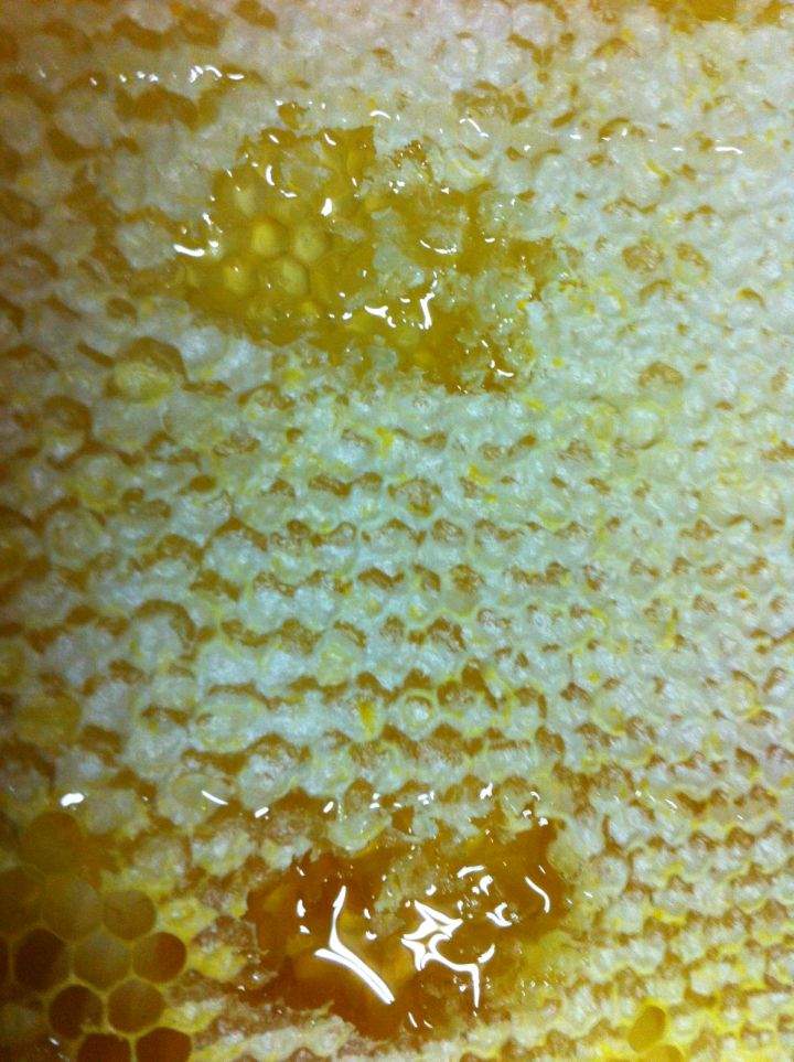 Two different types of honey (one lighter, one darker) from the frame.