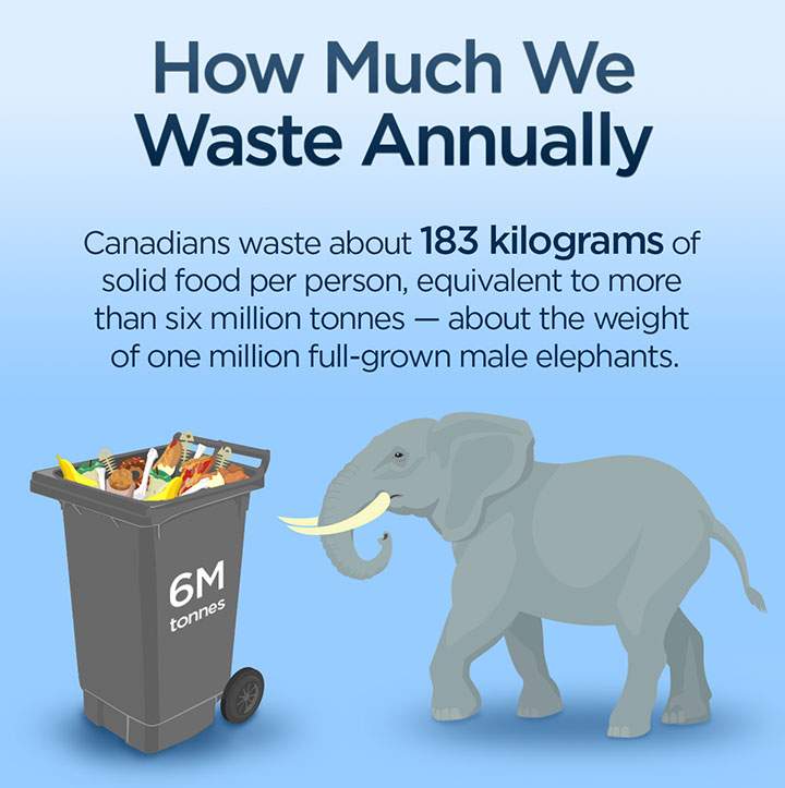 Food waste: 5 graphics that show just how much food we throw away - image