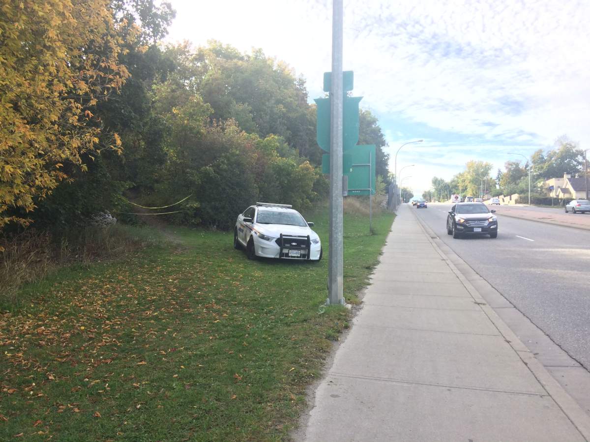 Two crime scenes at Vernon park - image