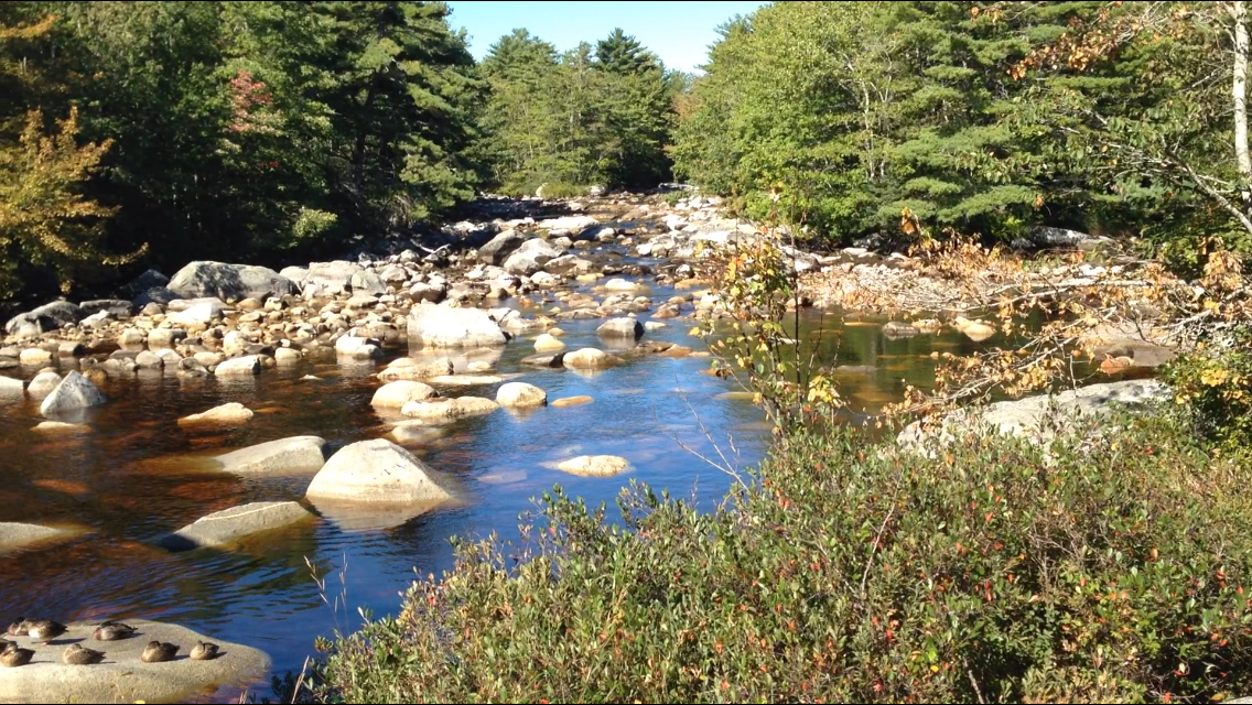 The Jordan River in Jordan Falls, N.S., is pictured here at an extreme low in the summer of 2016 due to a lack of rain.