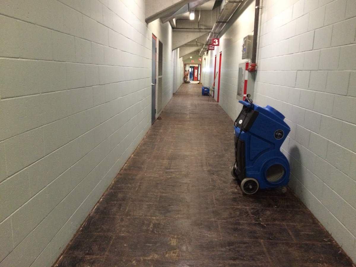 Kal Tire Place fouled by sewer backup - image