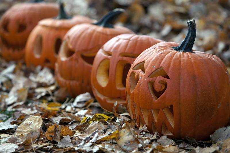 Halloween pumpkin fall