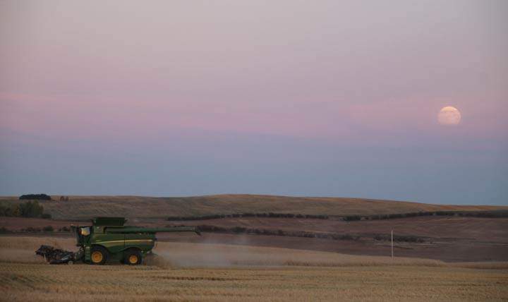 Sept. 20: This Your Saskatchewan photo was taken by Natalie Braun near Beechy.