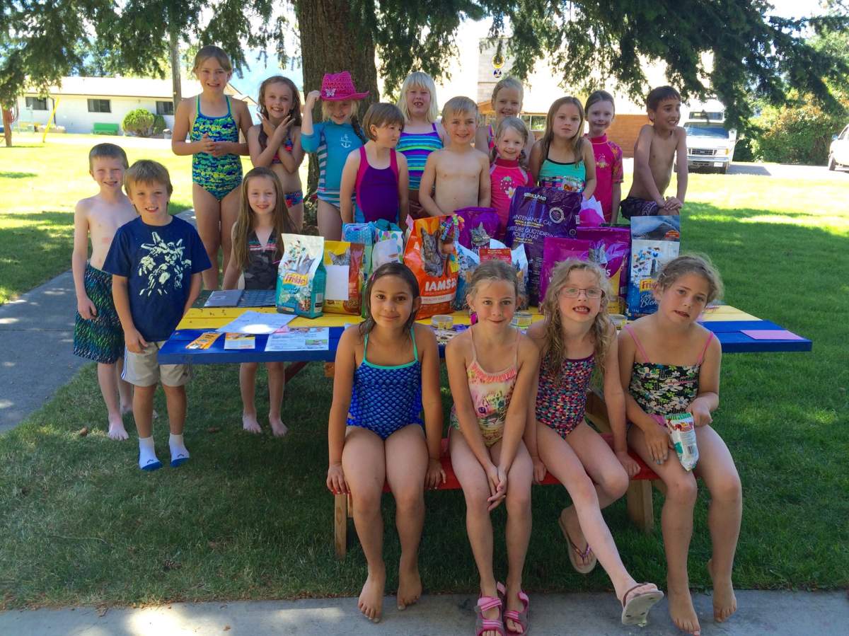 All I want for my birthday is cat food: 8-year-old Okanagan girl - image
