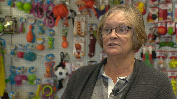 Playful Paws Pet Center manager Bonnie Clark said the kennel was inspected after a former employee highlighted 12 "major points of concern."