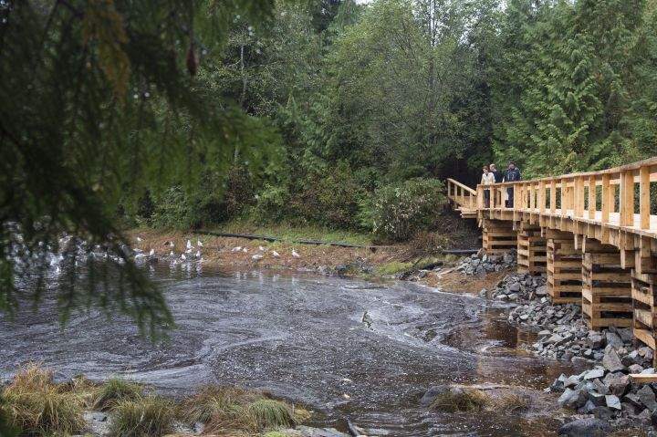 The Duke and Duchess of Cambridge along with the Premier of British Columbia Christy Clark walk through the Great Bear Rainforest in Bella Bella, B.C., Monday, Sept 26, 2016.