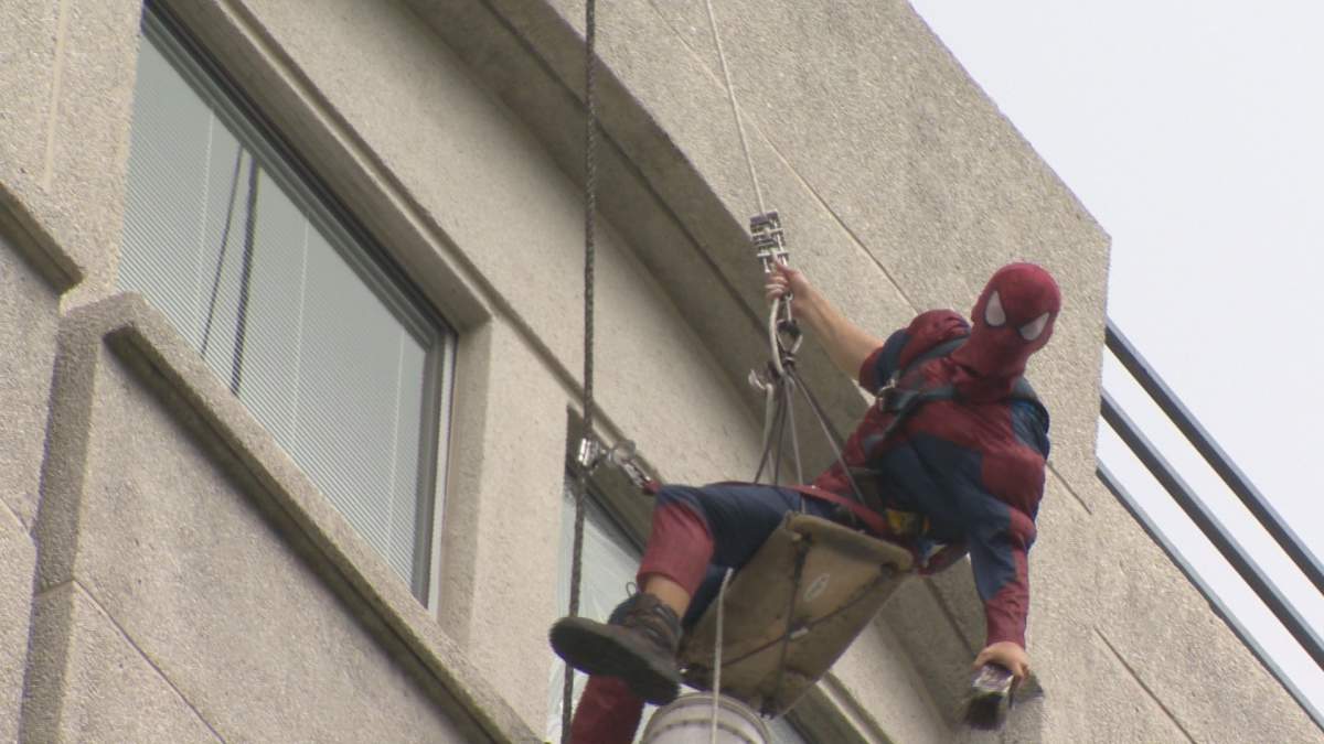 Spider-Man is seen washing the windows at the IWK Heath Centre in Halifax on Wednesday.