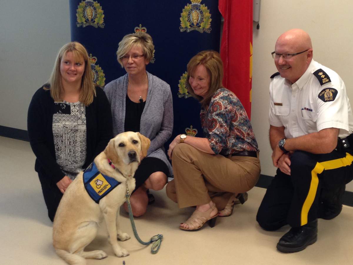 Calypso was introduced to members of the local media during Thursday’s press conference in Penticton.
