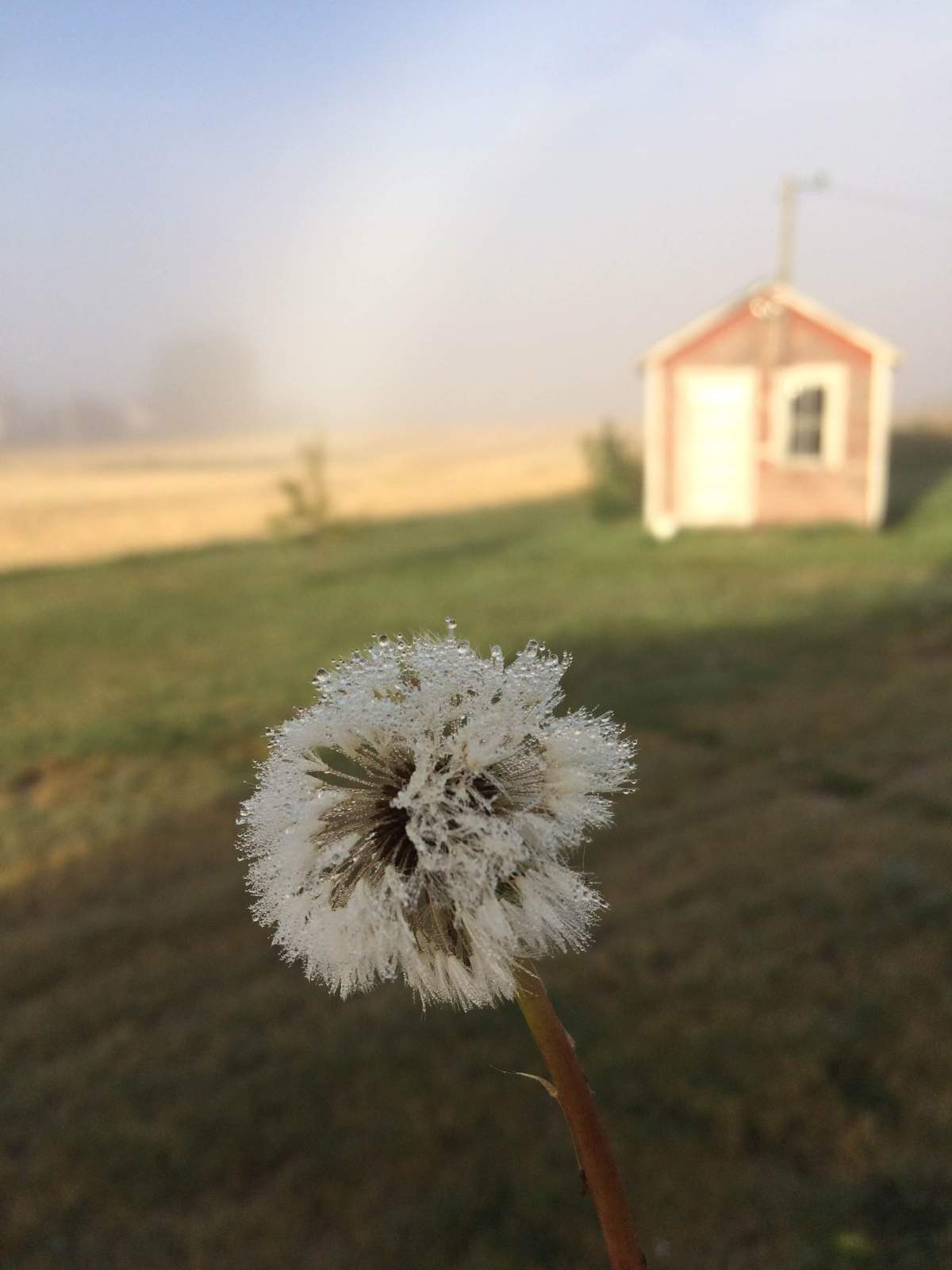 There is a risk of frost Monday night in parts of central and southern Saskatchewan.