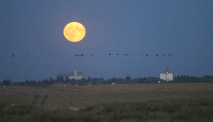 Sept. 21: This Your Saskatchewan photo was taken by Tracy Henderson near Leask.