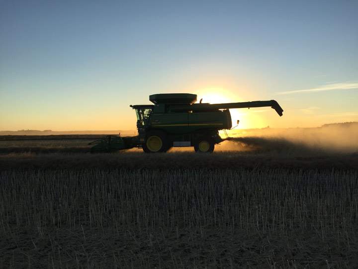 Oct. 3: This Your Saskatchewan photo was taken by Gloria Allison near Watson.