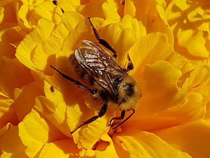 Oct. 4: Bonnie Evanochko took this Your Saskatchewan photo in Saskatoon.