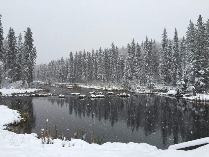 Oct. 11: Daniel Bushman took this Your Saskatchewan photo in Waskesiu.