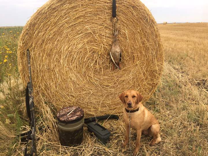 Oct. 20: Steve Jeffers took this Your Saskatchewan photo in Prince Albert.