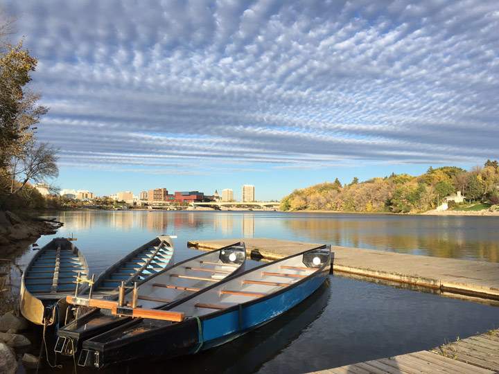 Oct. 28: This Your Saskatchewan photo was taken by Darci McLashen in Saskatoon.