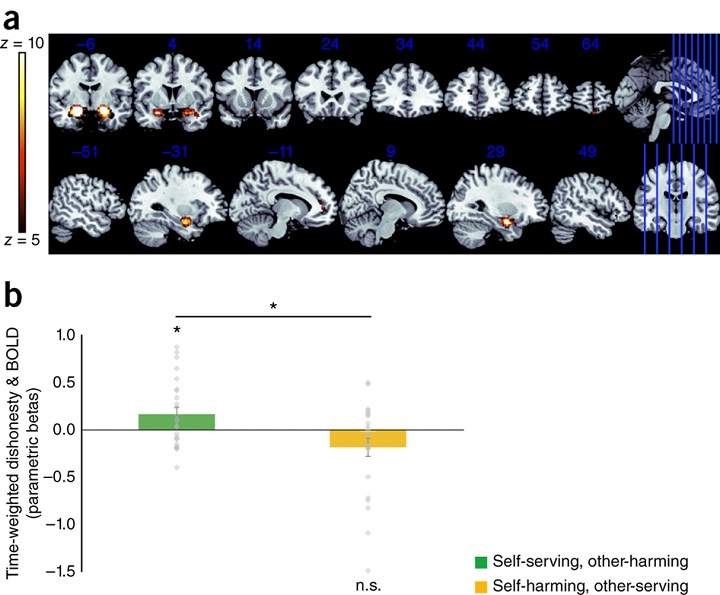 (The brain adapts to dishonesty, Neil Garrett, Stephanie C Lazzaro, Dan Ariely & Tali Sharot, Nature Neuroscience (2016)