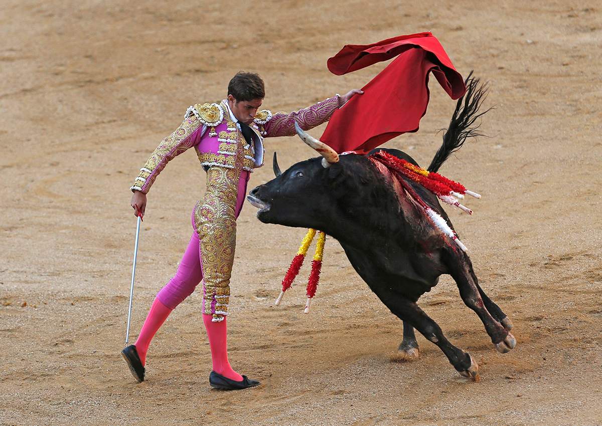  In a Sunday, Oct. 9, 2016 file photo, Spanish bullfighter Mario Palacios performs with an Aguadulce ranch fighting bull during a bullfight at the Las Ventas bullring in Madrid, Spain.  