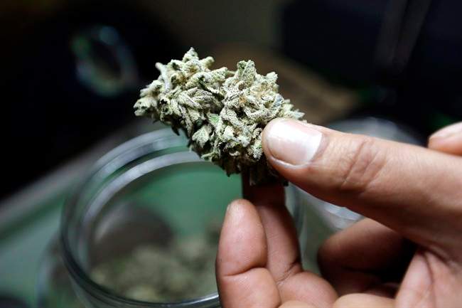 What rules will Edmonton have when it comes to selling and smoking legal marijuana?.