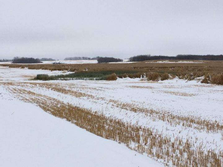 2016 Saskatchewan harvest grinds to a halt as rain, snow keeps farmers out of the field.
