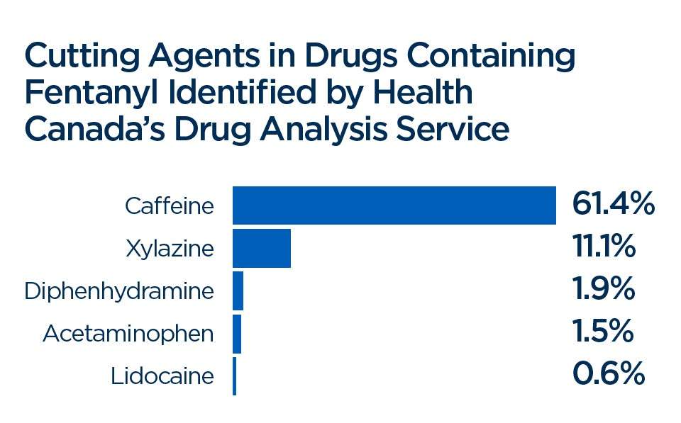 Experts sound alarm after 40% increase of fentanyl-laced street drugs tested in Canada - image