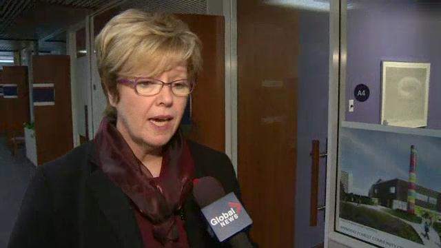 Ontario Liberal candidate Shelley Carroll resigned her Toronto city council seat to run for the provincial election. 