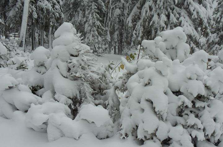 Oct. 19: This Your Saskatchewan photo was taken by Dianne Leier at Jumbo Beach where they saw approximately a foot of snow over the weekend.