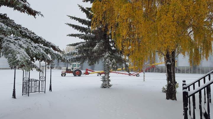 Oct. 10: This Your Saskatchewan photo was taken by Rachel Vidak near St. Gregor.
