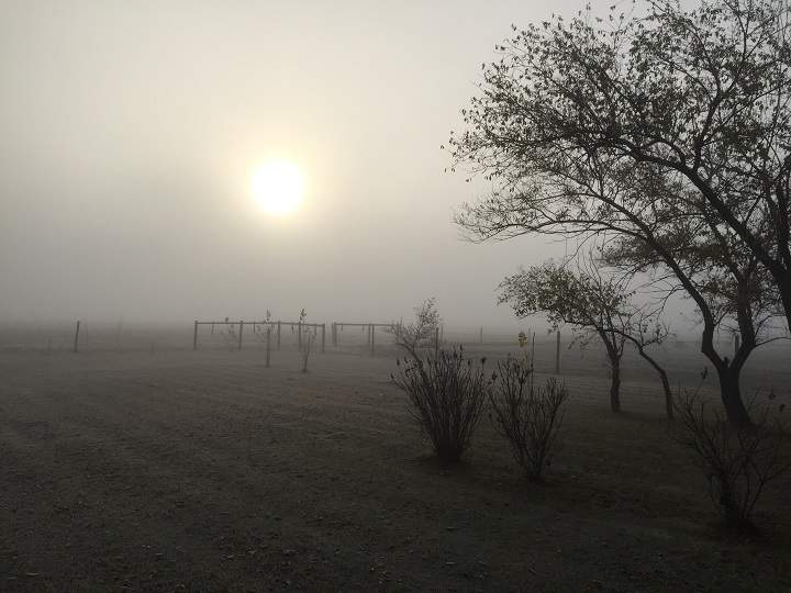 Your MB