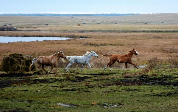 Your MB