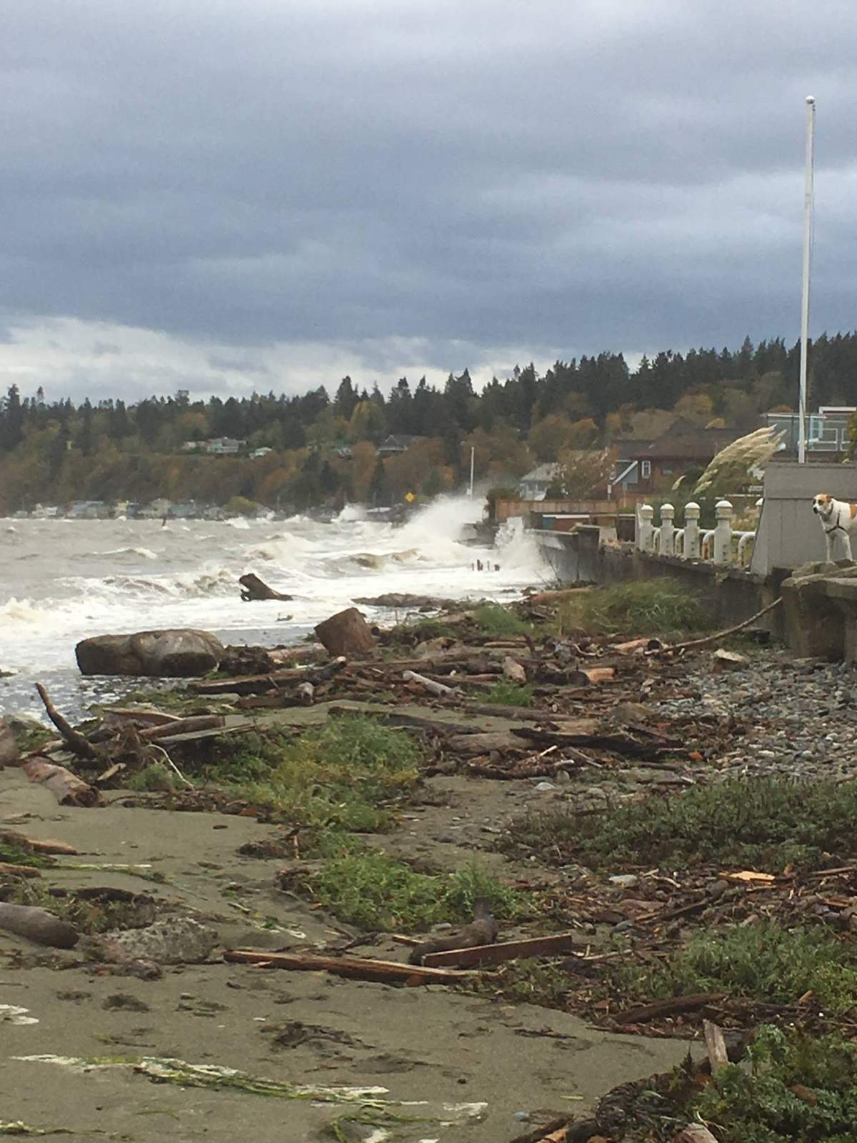Waves crash at Boundary Bay in Tsawwassen, B.C. during a storm on Saturday, Oct. 15, 2016.