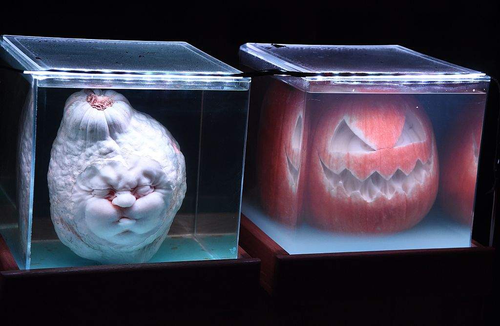 Unique pumpkin display ideas for Halloween - image