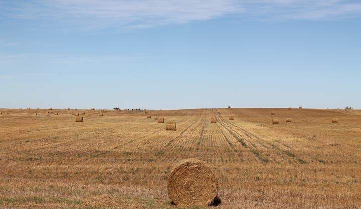 Oct. 1: This Your Saskatchewan photo was taken by Linda Coates near Leader.