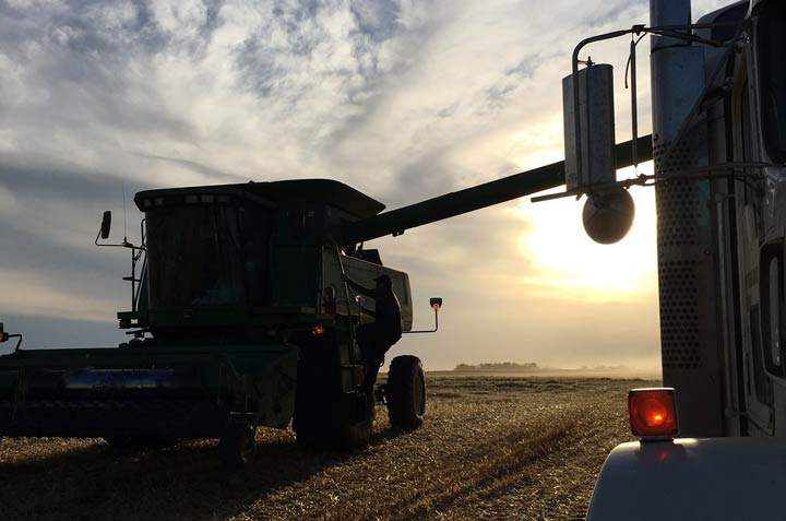 Oct. 23: This Your Saskatchewan photo was taken by Stephanie Andersen near Naicam.