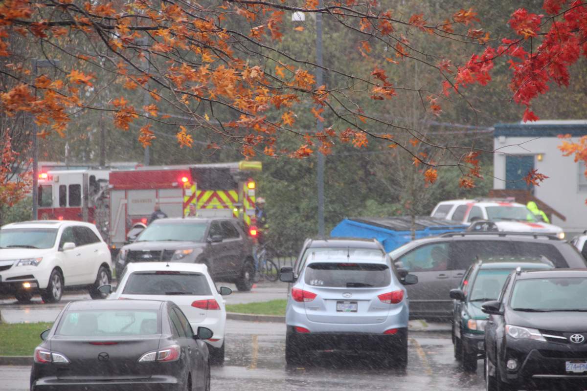 Storm moving across southern B.C. knocks out power, downs trees - image