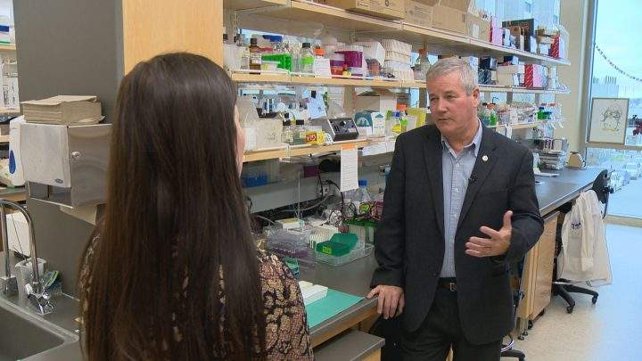 U of S scientists believe they have discovered cure for food allergies - image