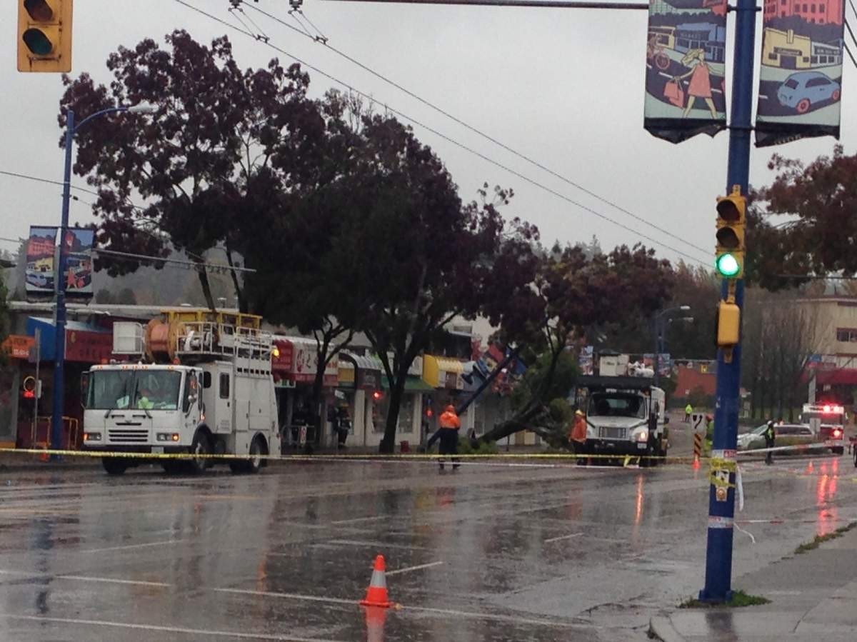 Storm moving across southern B.C. knocks out power, downs trees - image