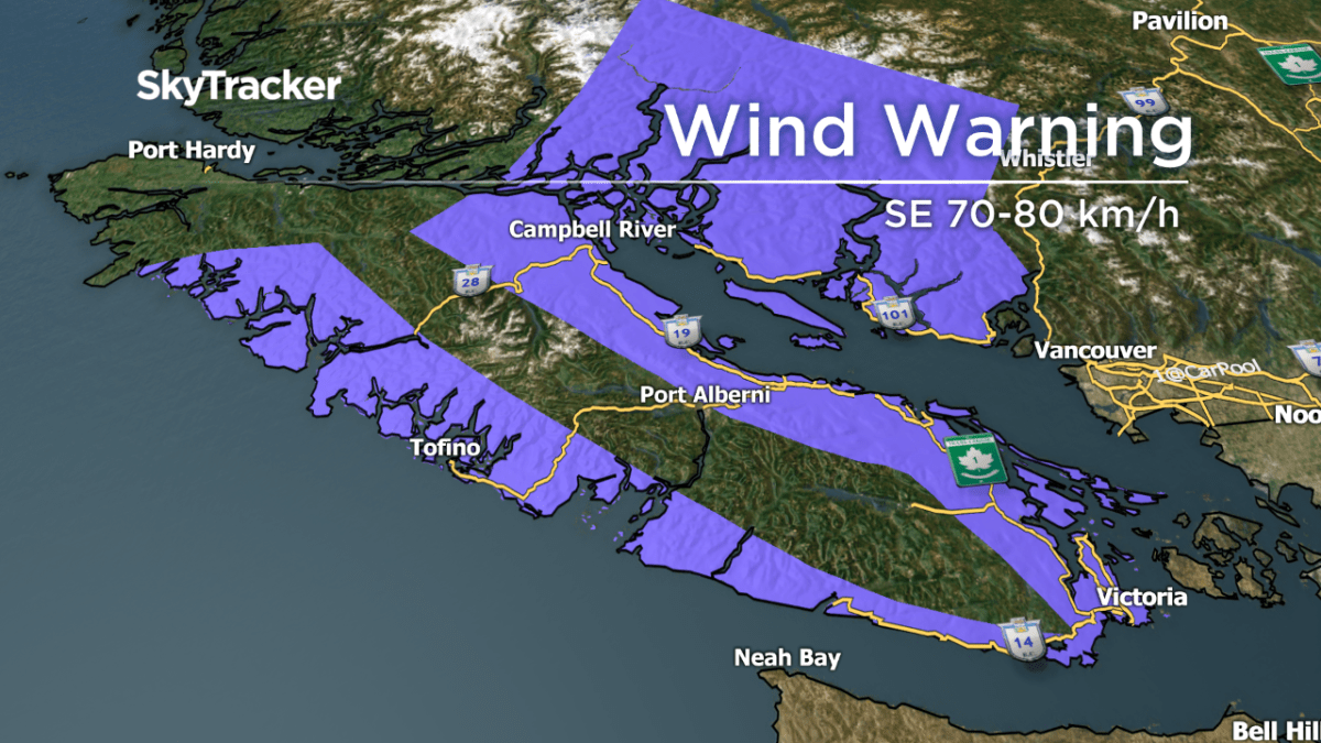 High winds and heavy rain expected for B.C. South Coast Thursday night - image